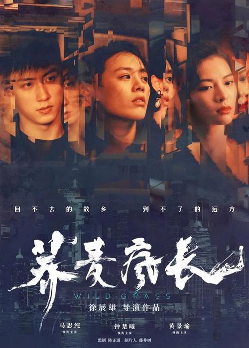 明尼苏达州驾照模板